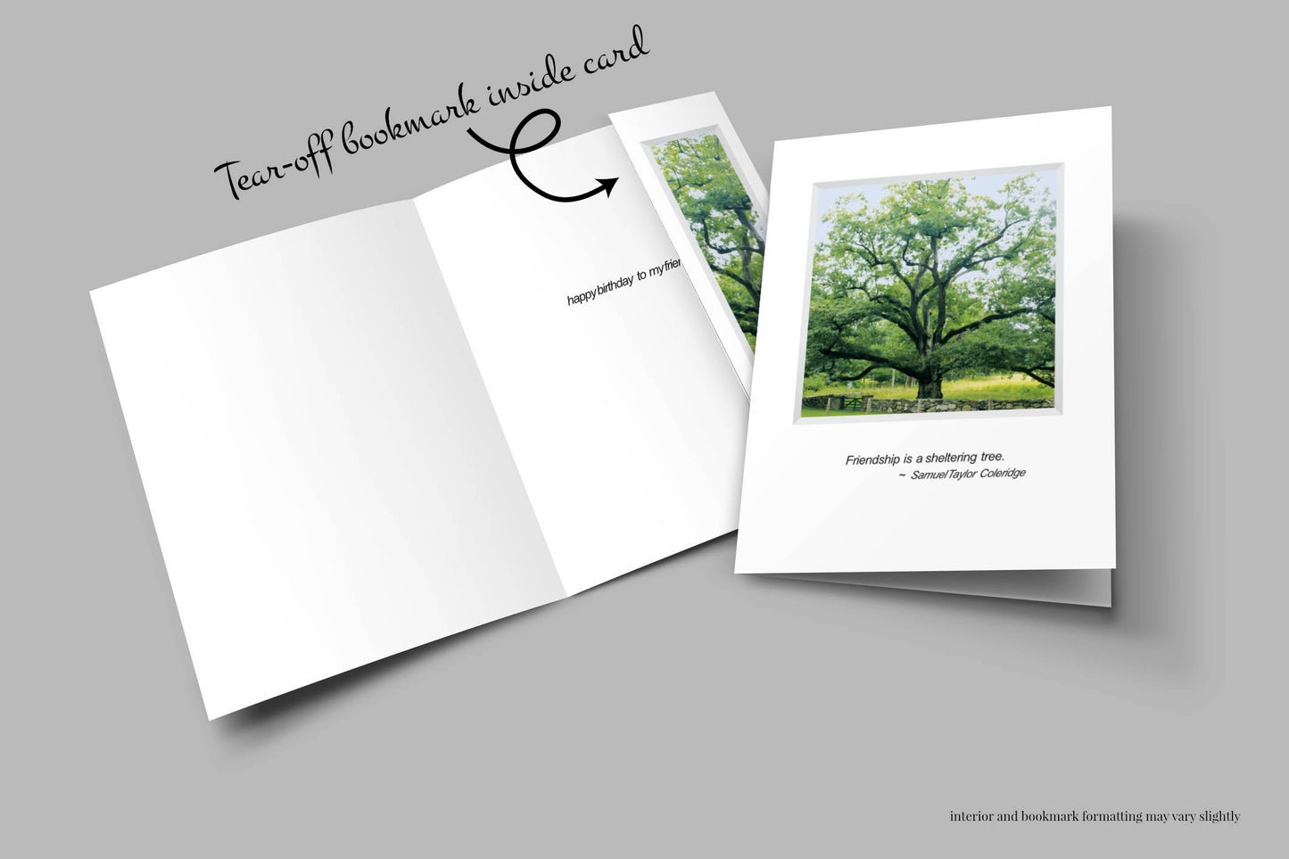 B509 - The Bedford Oak