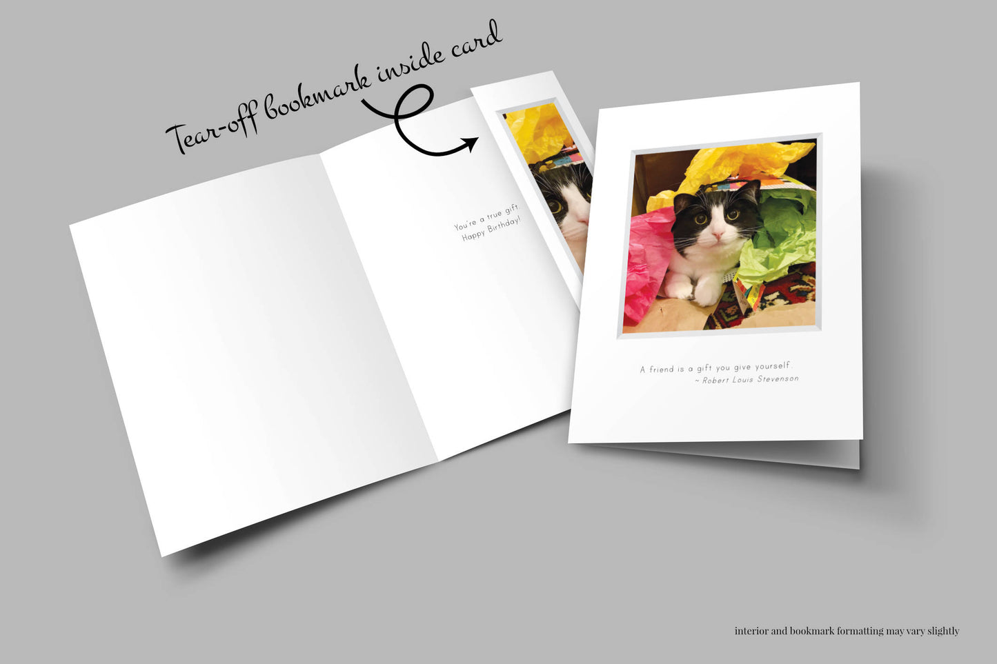 B678 - Purr-thday Present