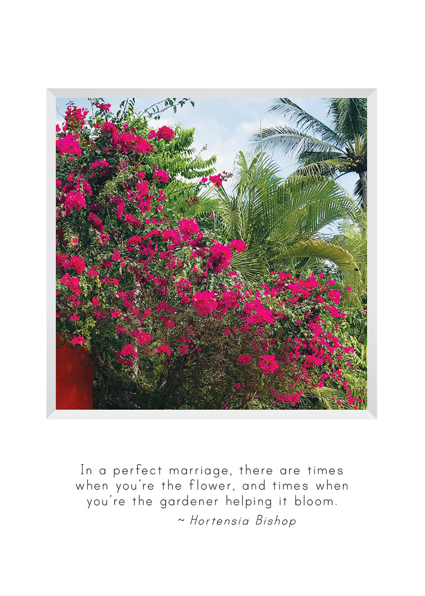 B715 - Blooms in Abundance