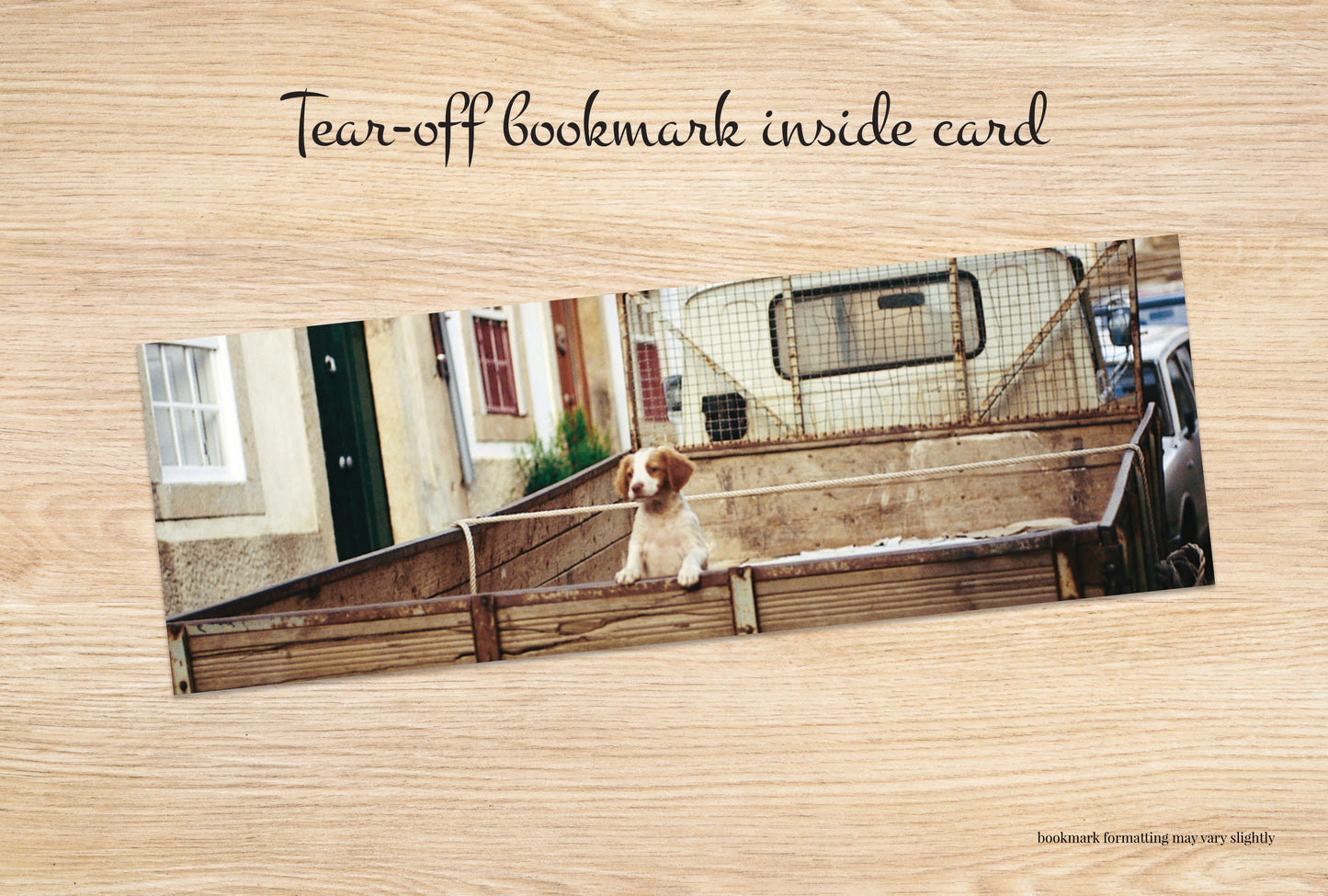 Q012 - Last Puppy For Sale