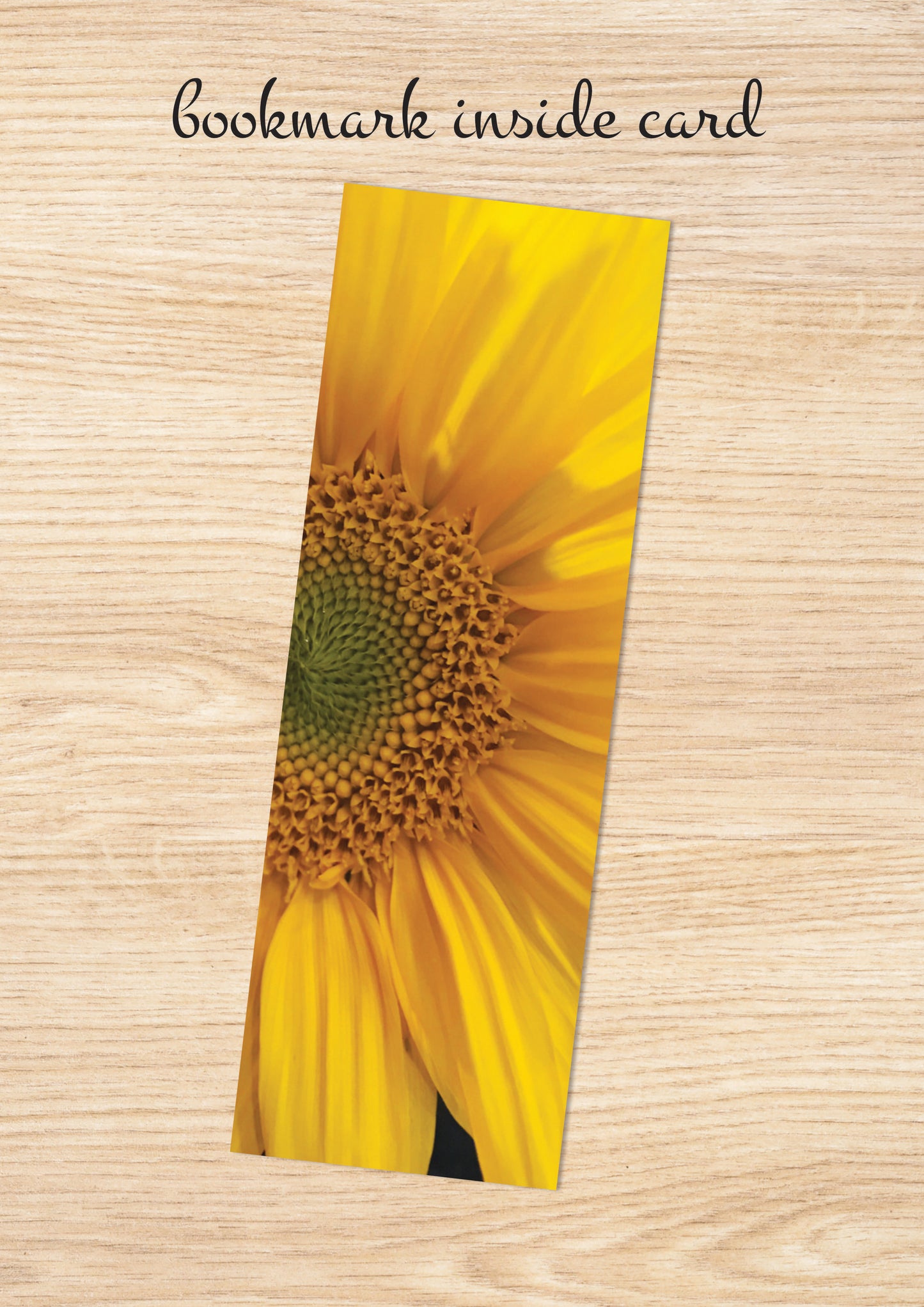 Q209 - Sunflower
