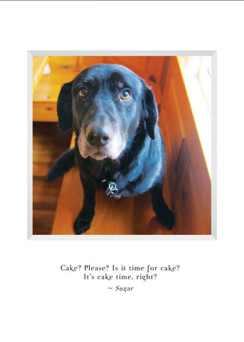 A812 - Pitiful Sugar