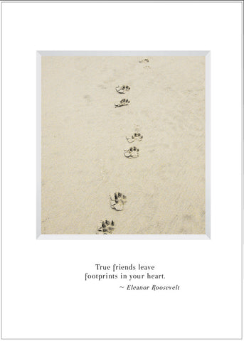 B539 - Treasured Friend