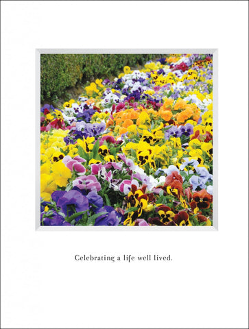 B574 - Morning Colors