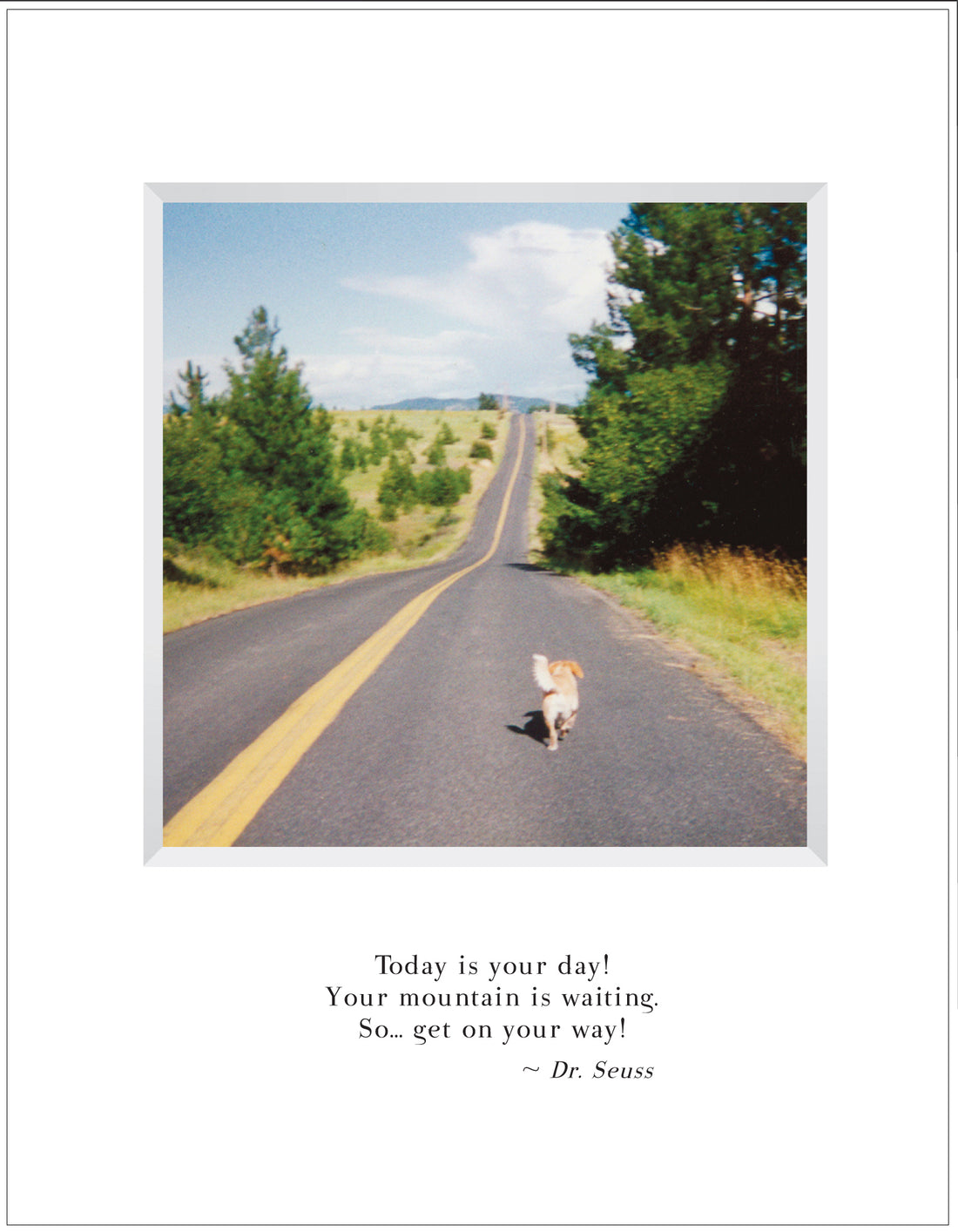 Cards for Your Favorite Graduate!