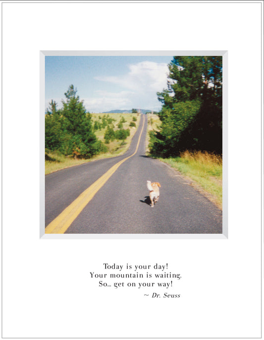 Cards for Your Favorite Graduate!