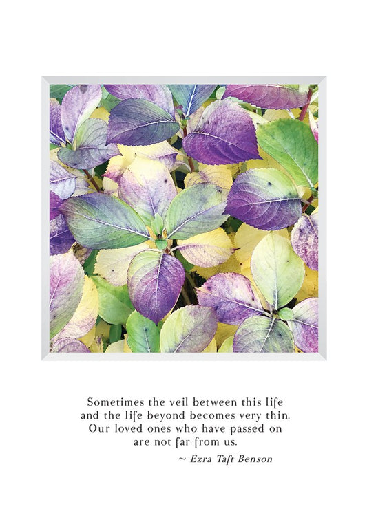 Heartfelt Sympathy Cards