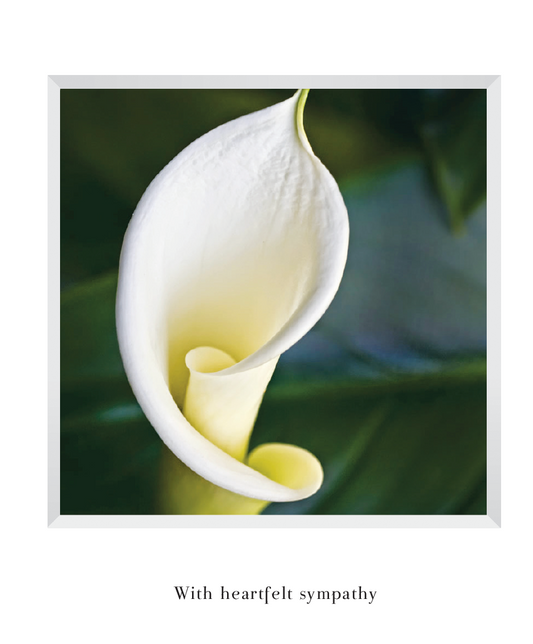 Sneak Preview: New Photo Designs