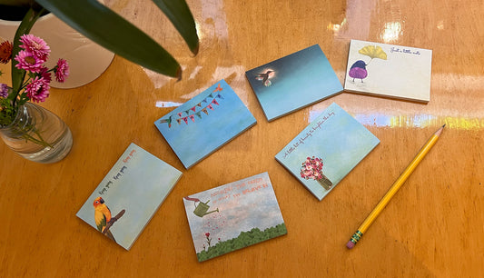 VPSN6 Variety Pack Sticky Notes - 6 designs