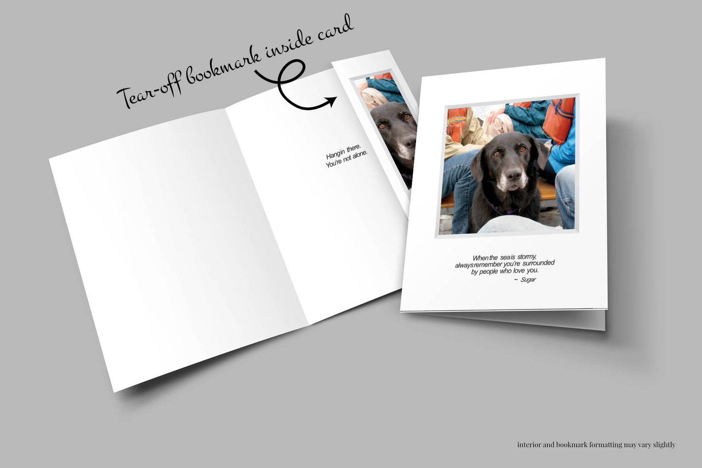 A802 - Sailing Sugar