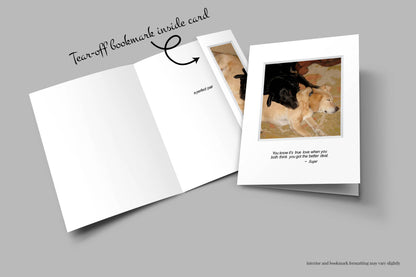 A807 - Sugar in Love