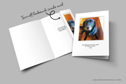 A812 - Pitiful Sugar