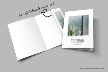 B594 - Light Gets In