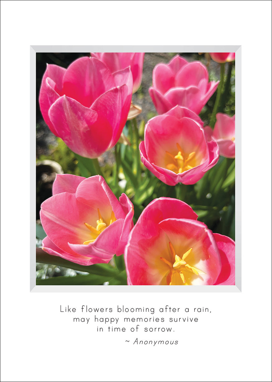 B685 - Backyard Blooms