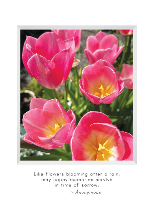 B685 - Backyard Blooms