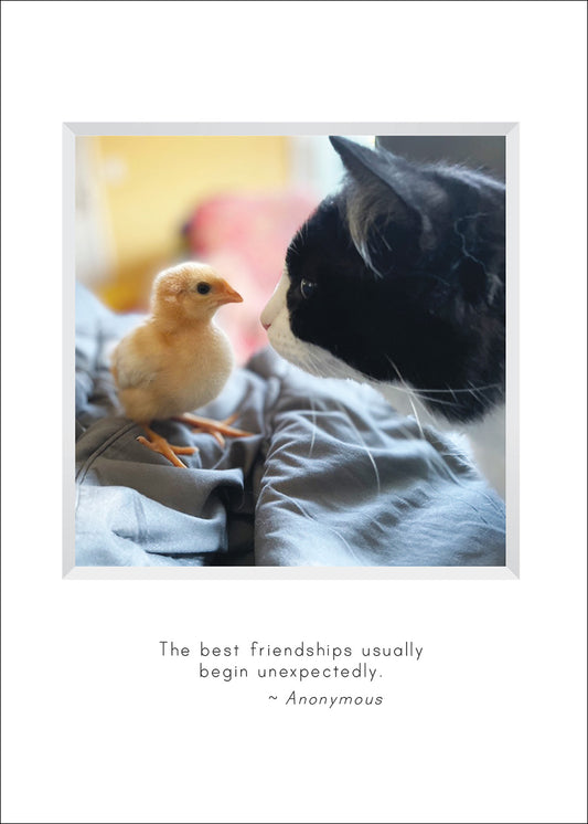 B686 - Sweetpea and Lily