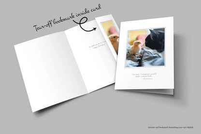 B686 - Sweetpea and Lily