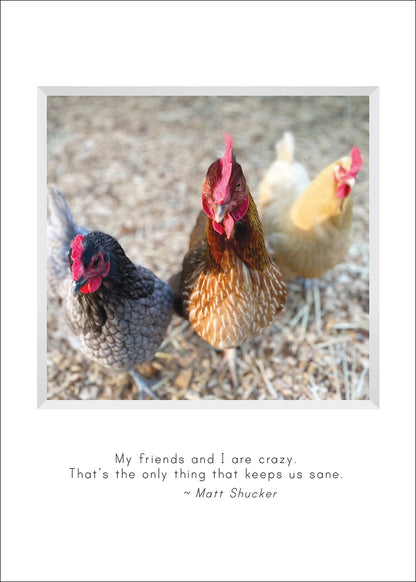 B688 - Blue, Sunny, and Daisy