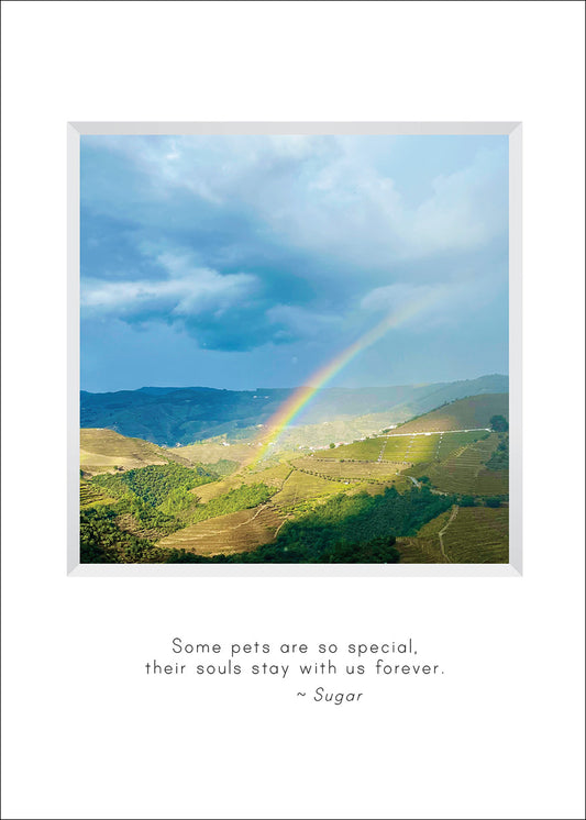 B691 - Rainbow Bridge