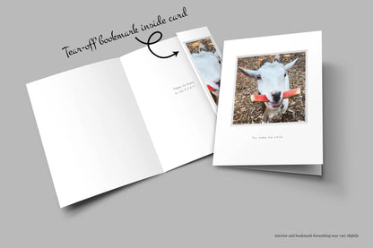 B703 -  Watermelon Smile