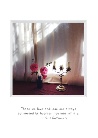 B709 -  Shadows and Light