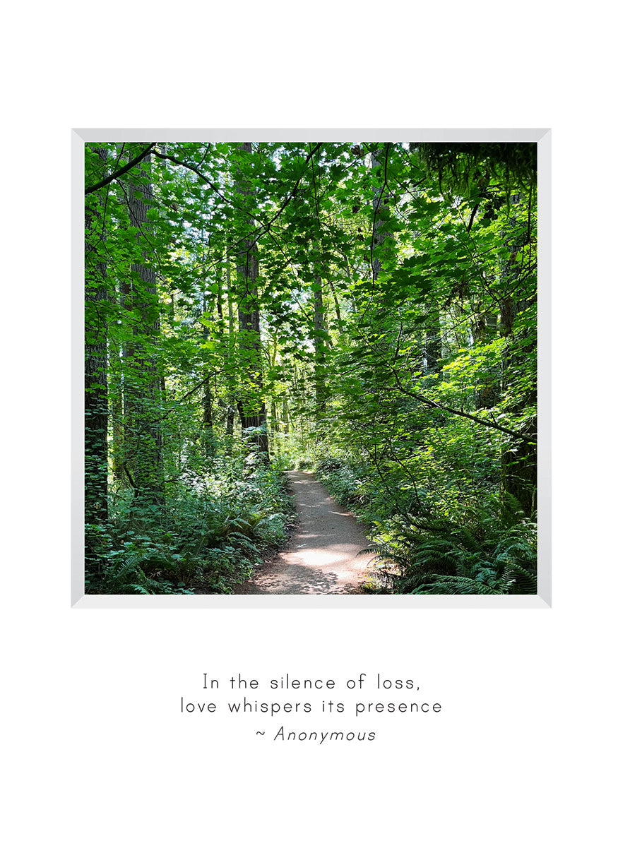 B717 -  Dappled Path