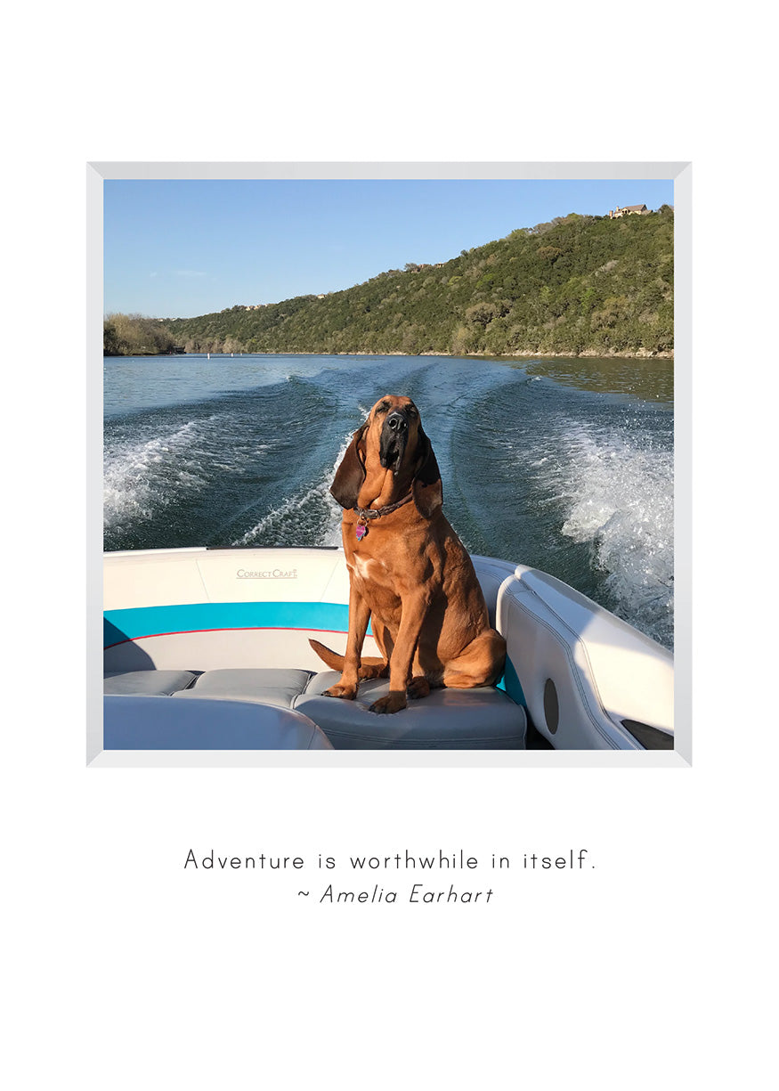 B732 -  Adventures with Ladybird