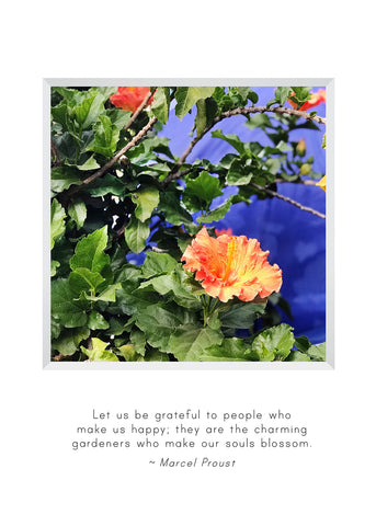 B735 -  Birthday Bloom