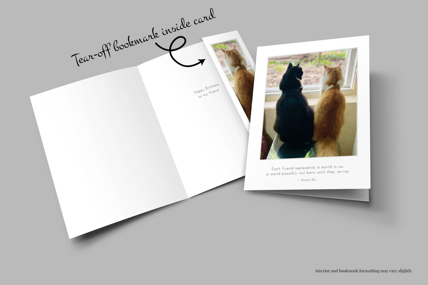 B741 -  Whisker Sisters