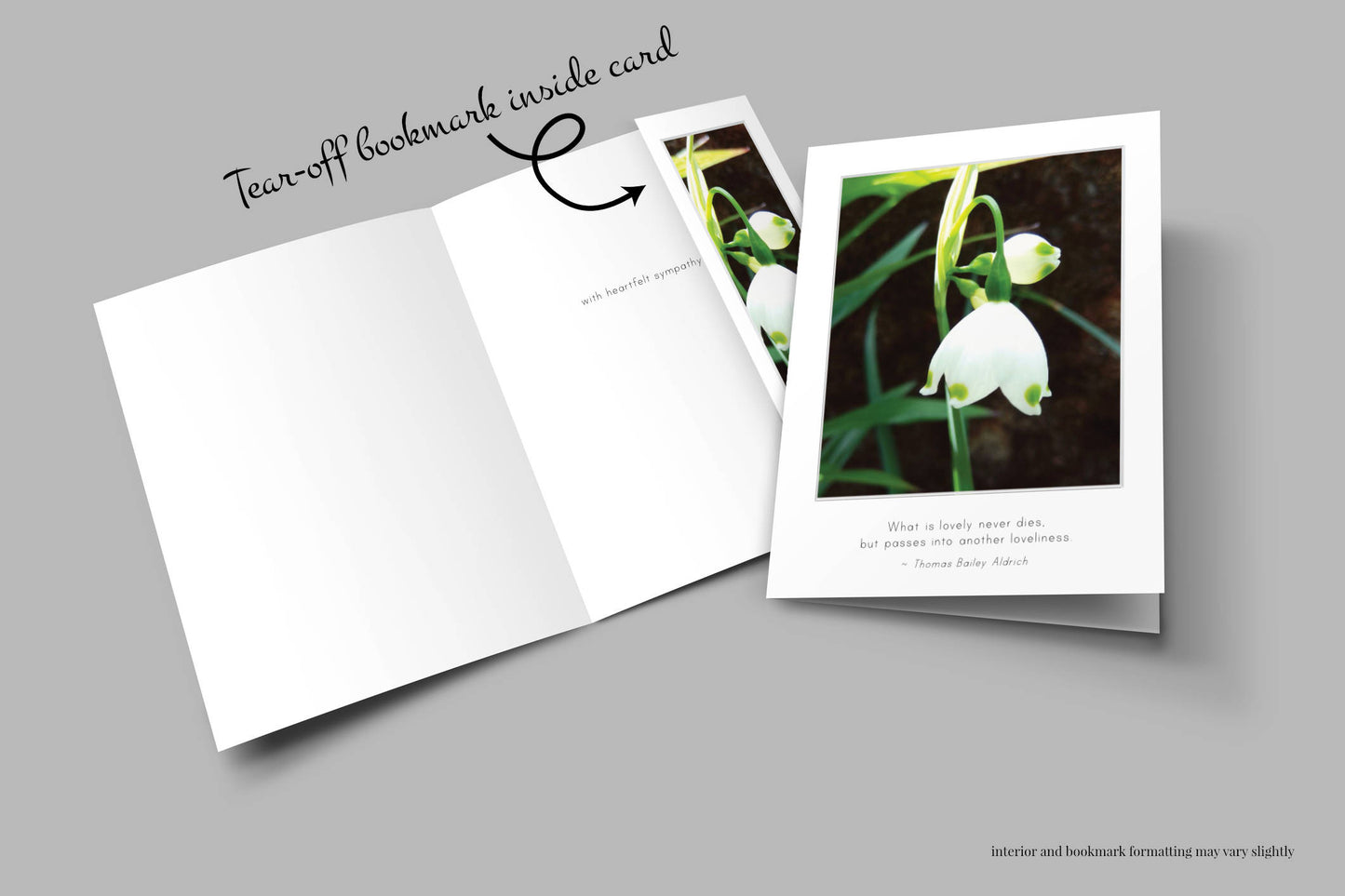 B743 -  Spring Snowflakes