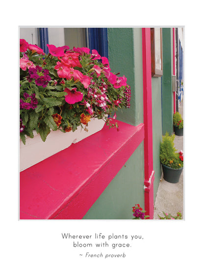 B744 -  Blooming Moment