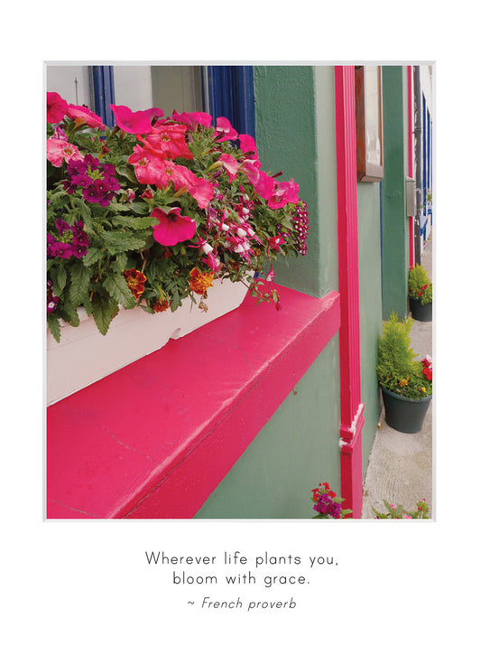 B744 -  Blooming Moment