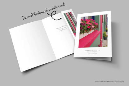 B744 -  Blooming Moment