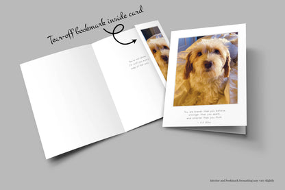 B747 -  Honey in the Morning