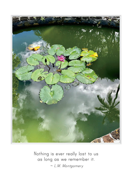 B753 -  Cloud Reflections