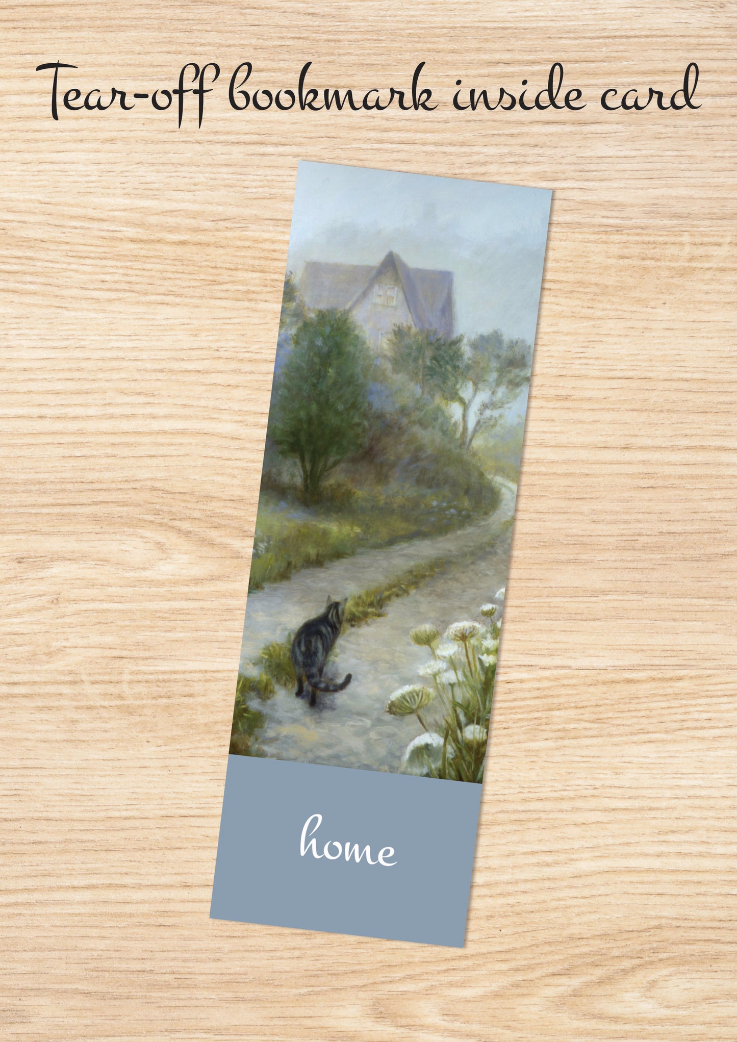 C1012 - New Cat, New Day