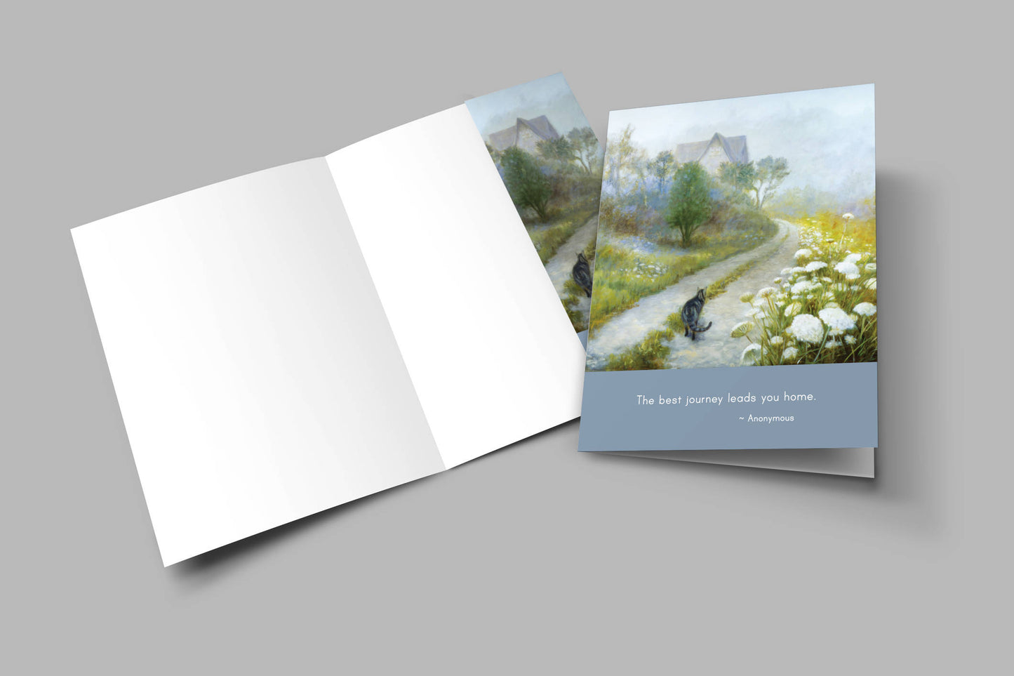 C1012 - New Cat, New Day