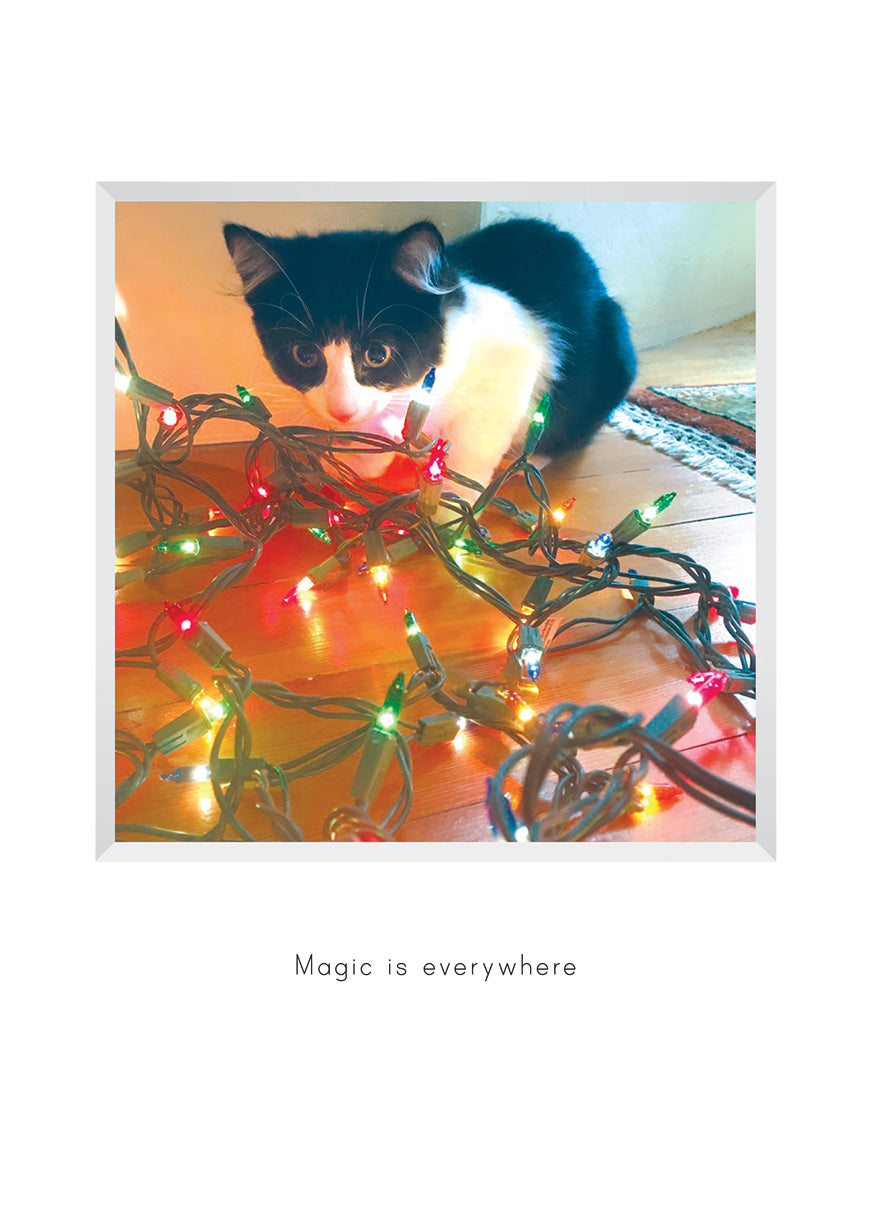 H914 - Lily in Lights