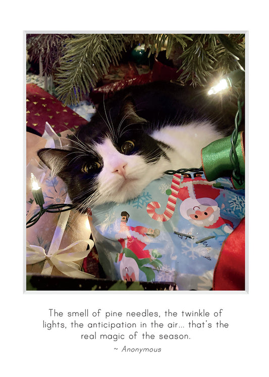 H921 -  Best Ornament of All