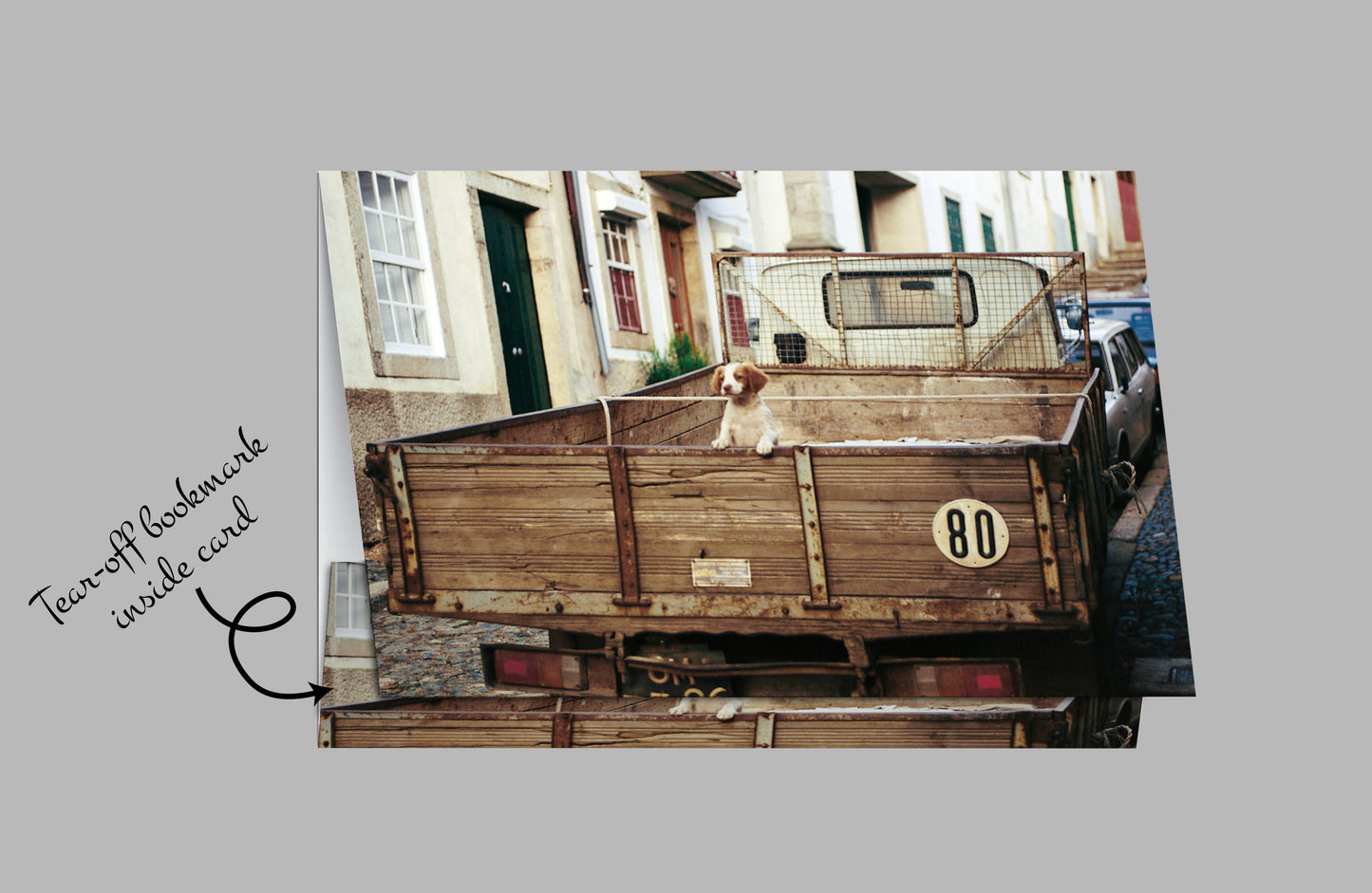 Q012 - Last Puppy For Sale