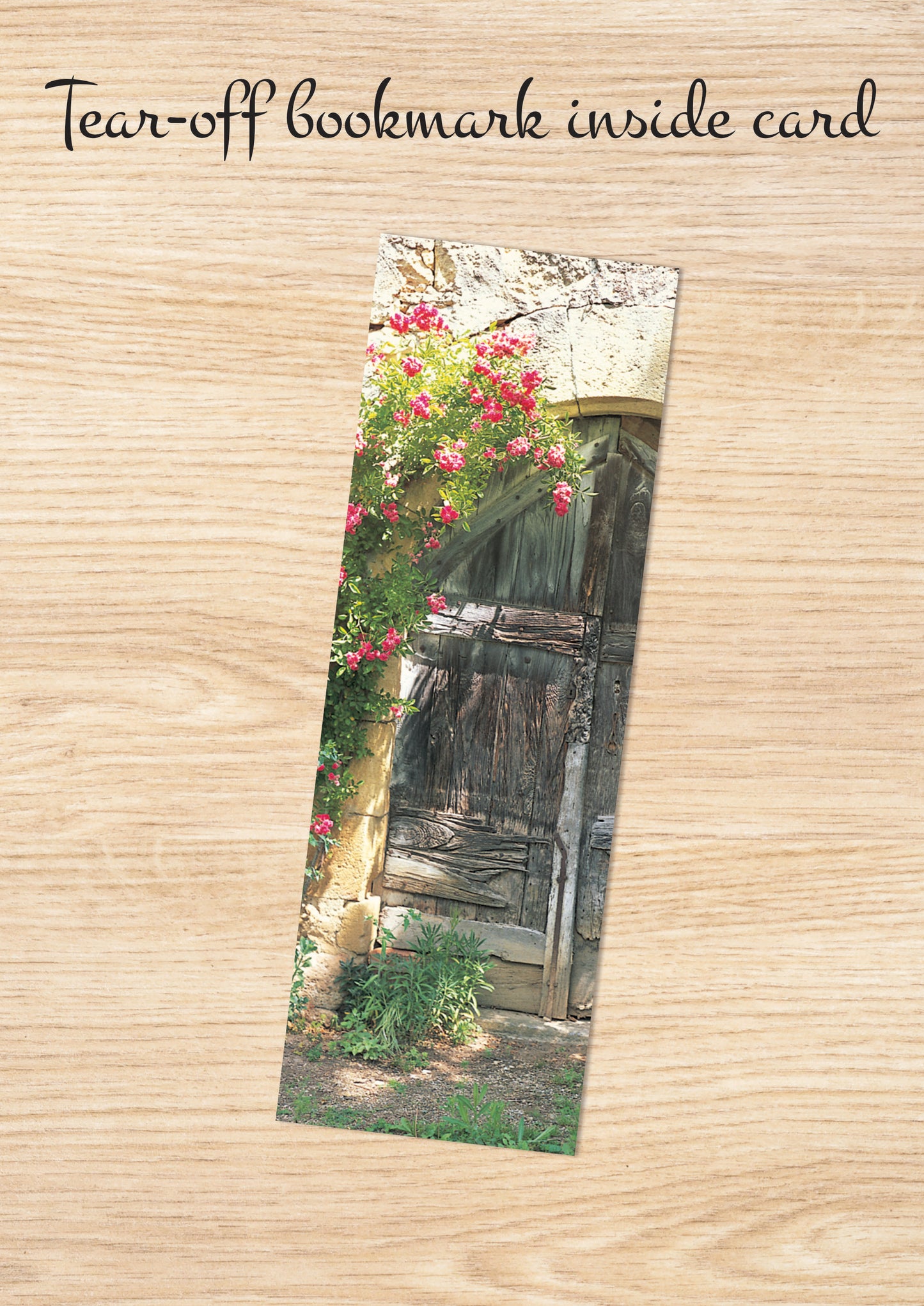 Q018 - Yesterday's Wine Cellar