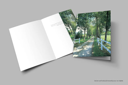 Q029 - Sojourner's Lane