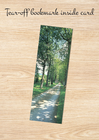 Q029 - Sojourner's Lane