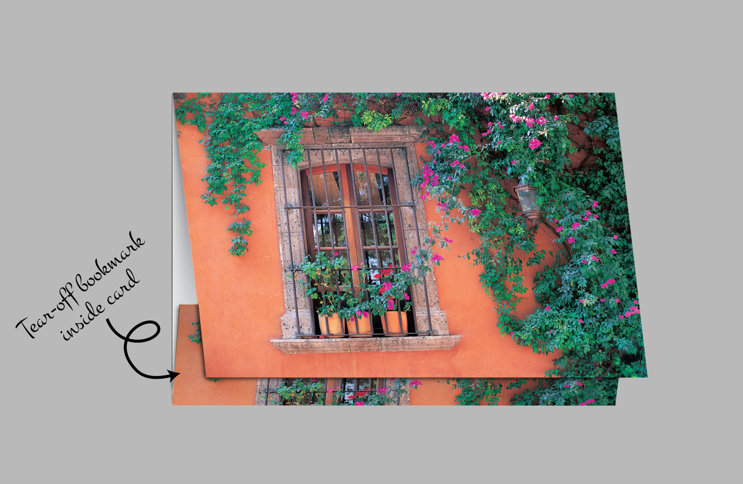 Q094 - Hacienda De Las Amigas