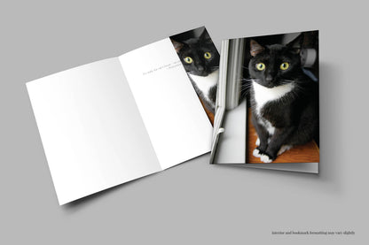 Q128 -  Cody's Window