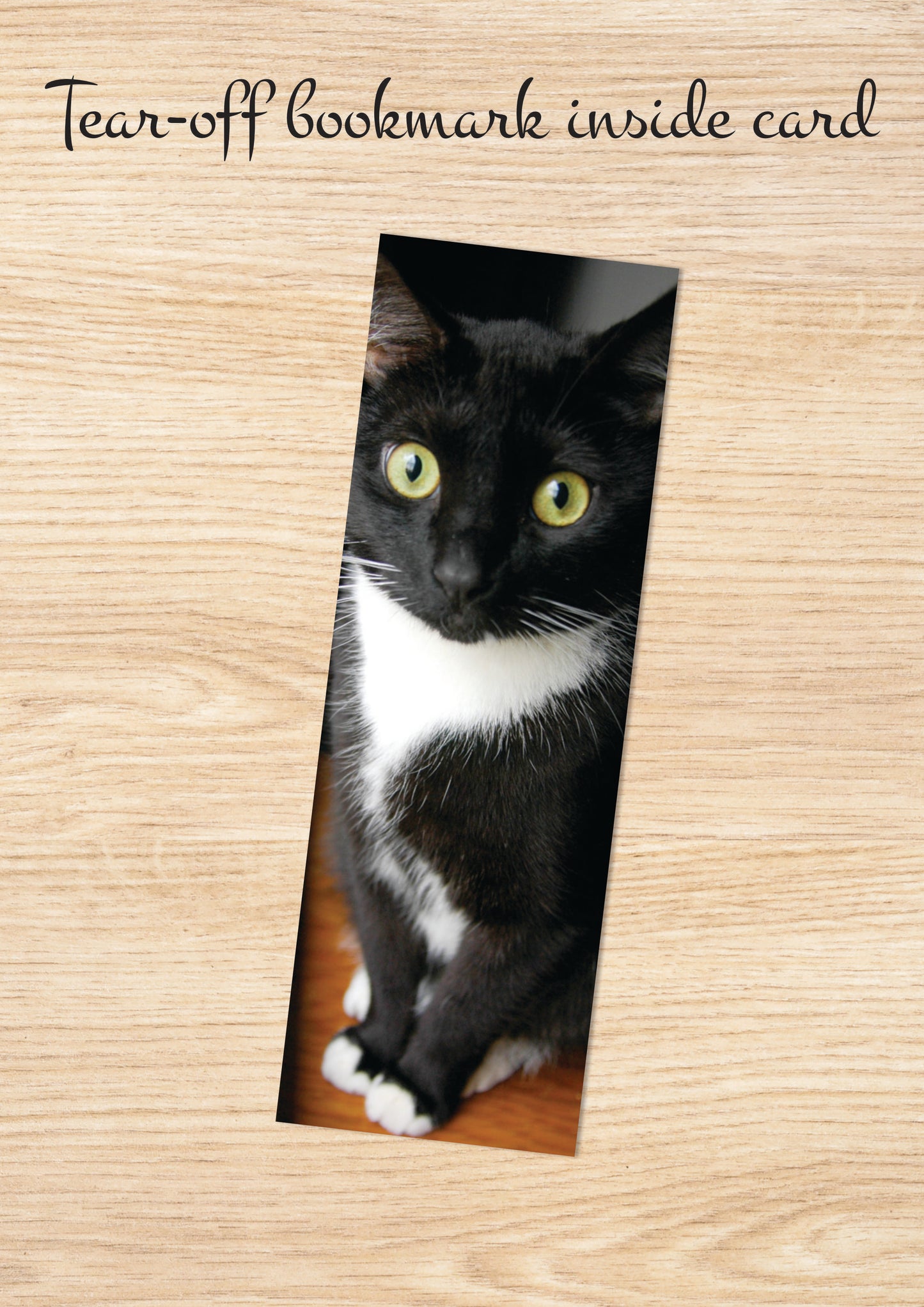 Q128 -  Cody's Window