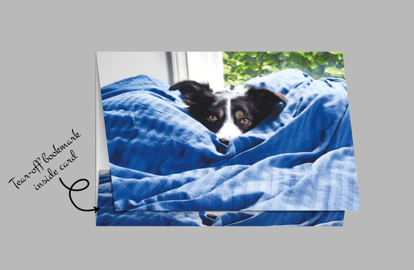 Q166 - Good Morning, Zoe