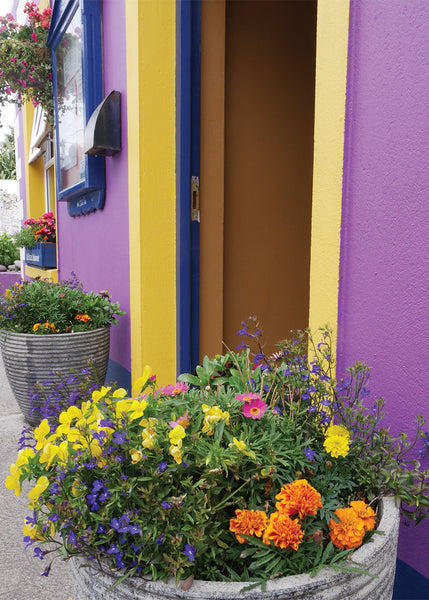 Q211 -  Welcome Blooms