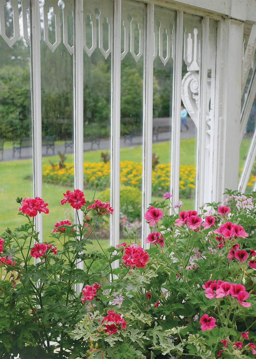 Q212 -  Through the Greenhouse Window