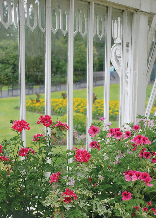 Q212 -  Through the Greenhouse Window